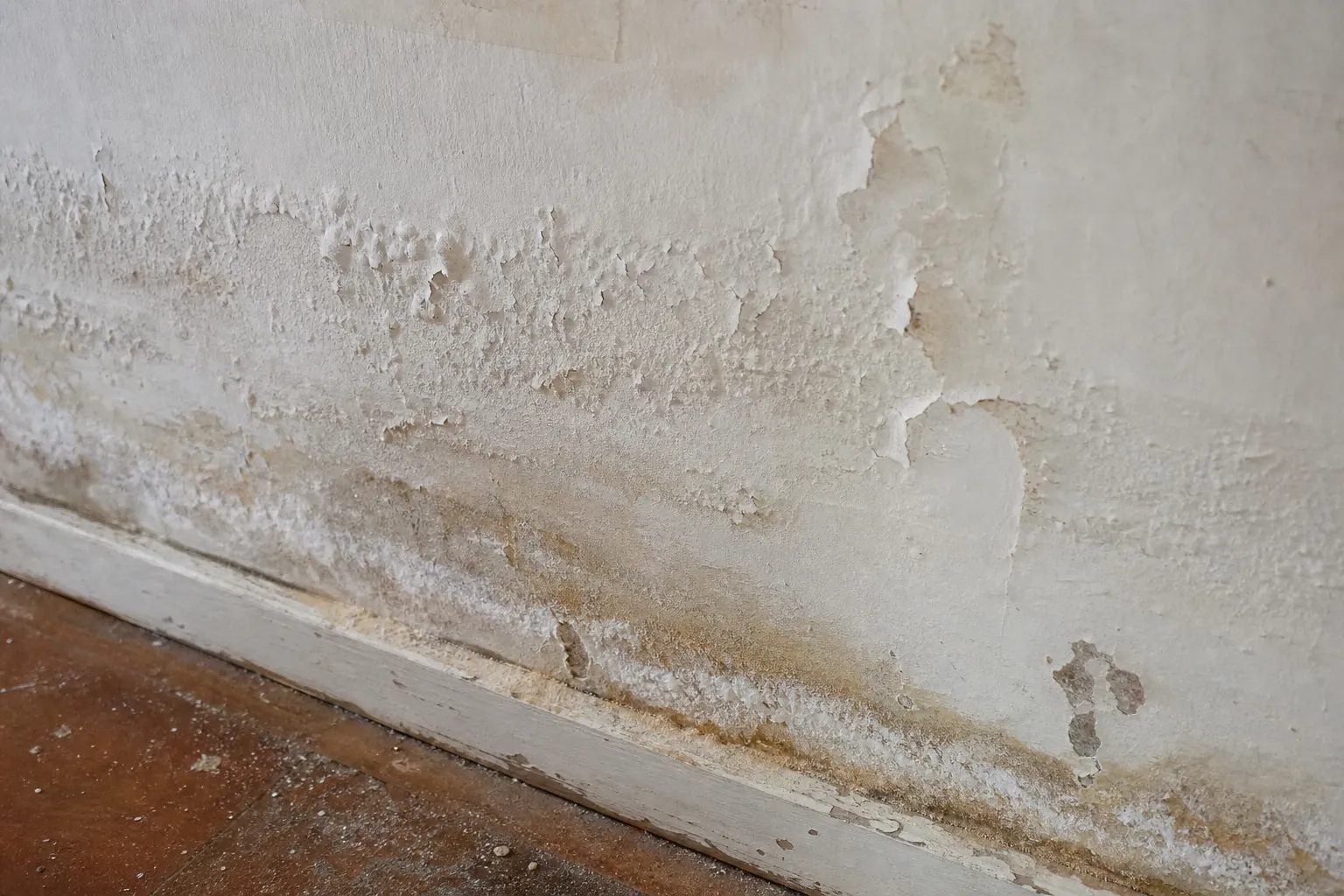 Remontées capillaires et salpêtre en bas d’un mur de maison en Seine-Saint-Denis (93)