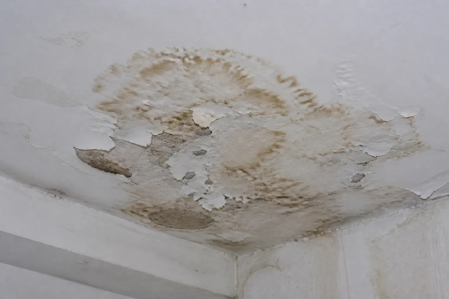 Auréole d’infiltration d’eau au plafond d’une maison en Seine-Saint-Denis (93)